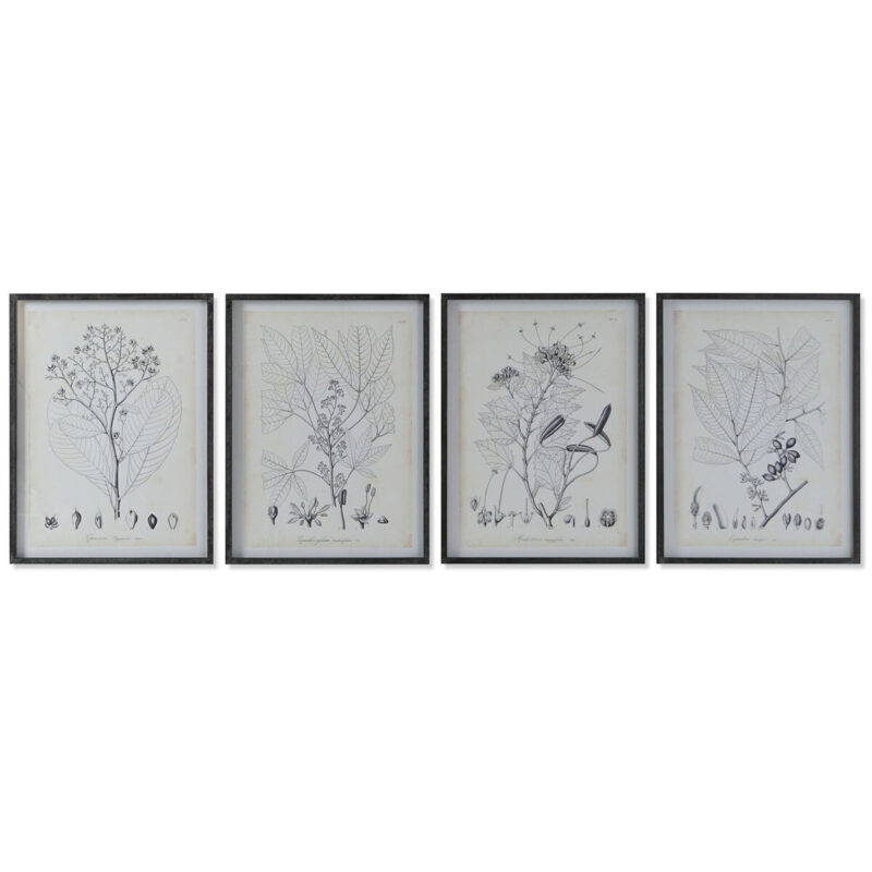 S3052821_0 Cuadro DKD Home Decor Moderno Plantas botánicas 45 x 2,5 x 60 cm (4 Unidades)