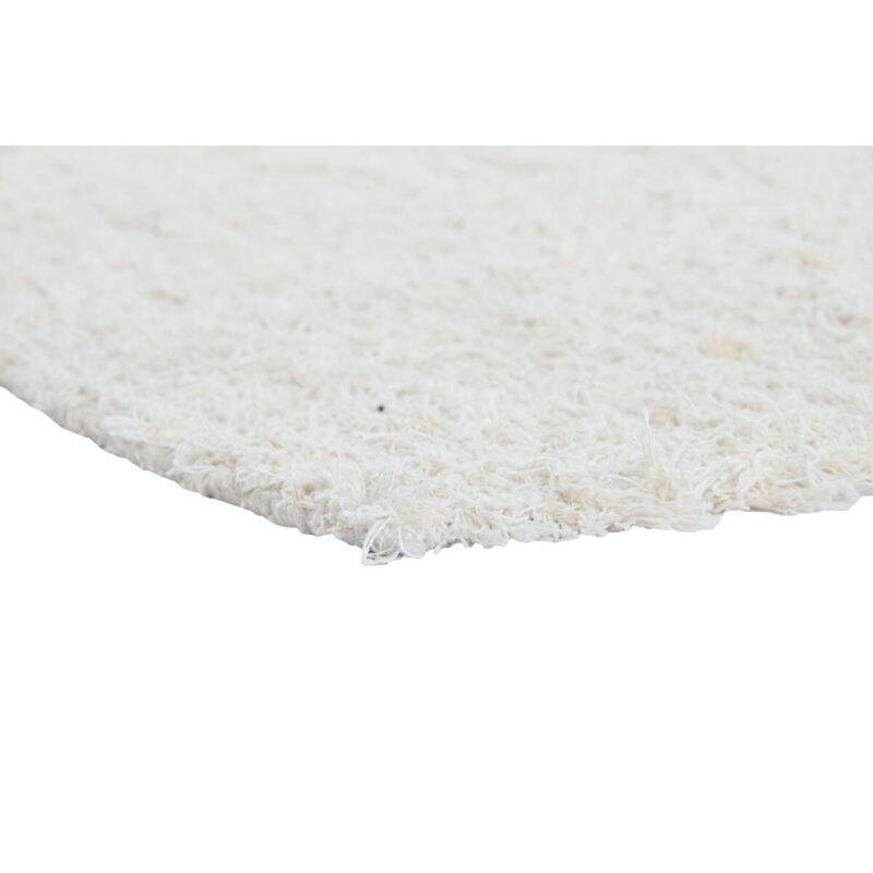 S3055405_2 S3055405_2