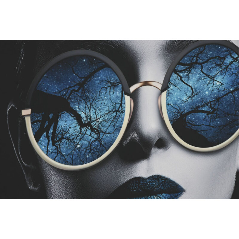 S3055685_2 S3055685_2