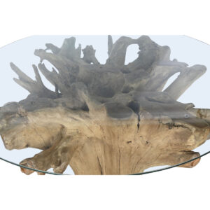 S3056911_1 S3056911_1