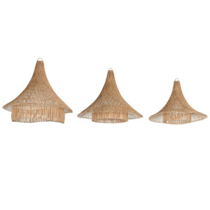 S3056941_0 S3056941_0