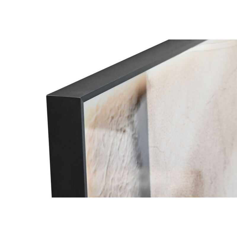 S3058284_1 S3058284_1