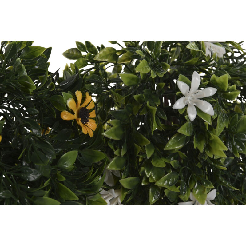 S3058951_1 S3058951_1