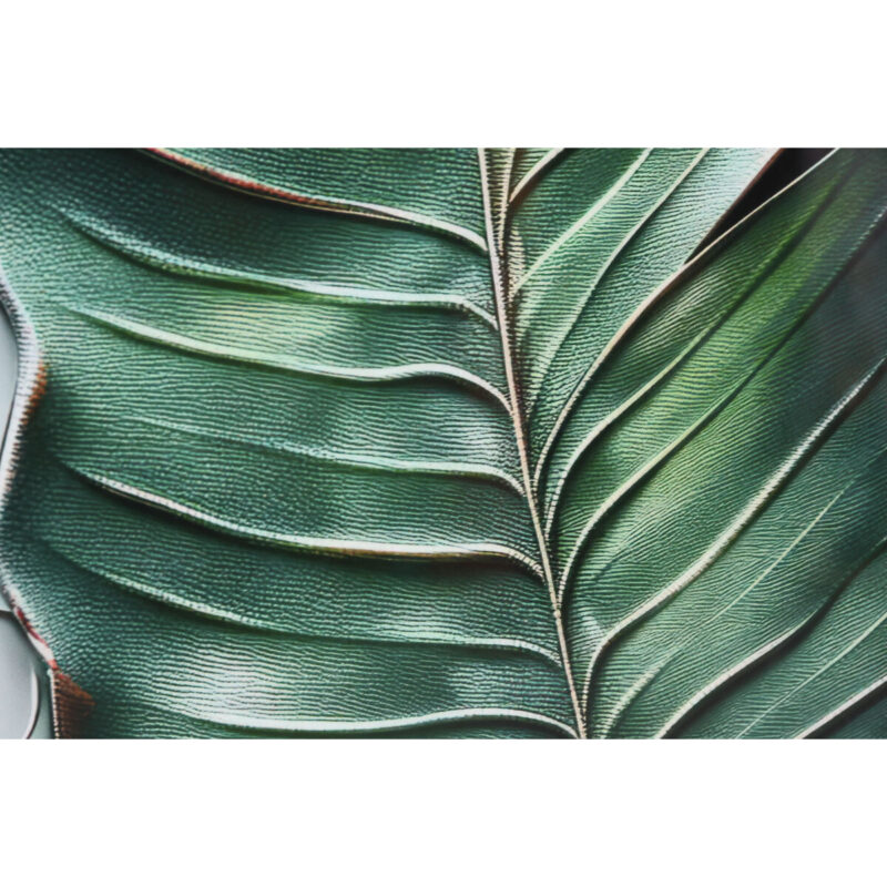 S3060079_5 S3060079_5