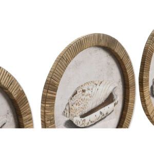 S3060551_1 S3060551_1