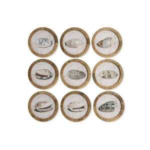 S3060551_3 S3060551_3