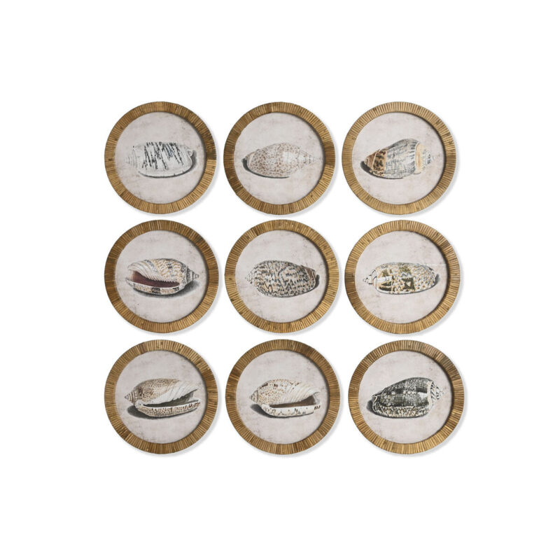 S3060551_3 S3060551_3