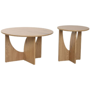 S3060868_1 S3060868_1