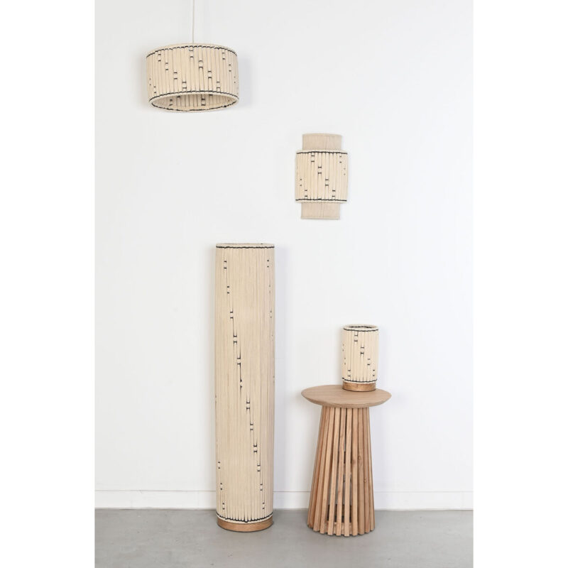 S3060958_1 S3060958_1