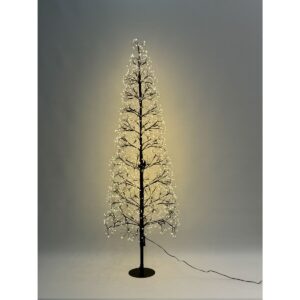 V0709666_1 V0709666_1