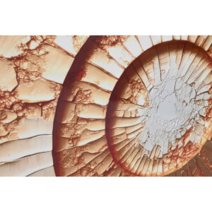 S3061851_2 S3061851_2