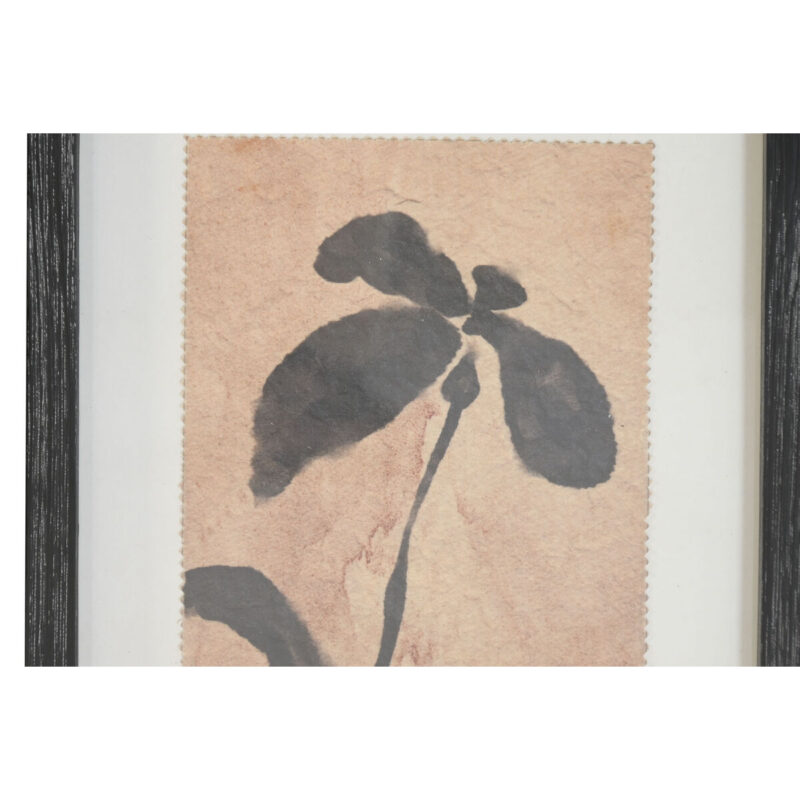 S3062596_2 S3062596_2