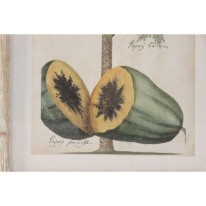 S3062599_2 S3062599_2