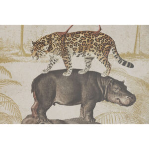 S3062603_2 S3062603_2