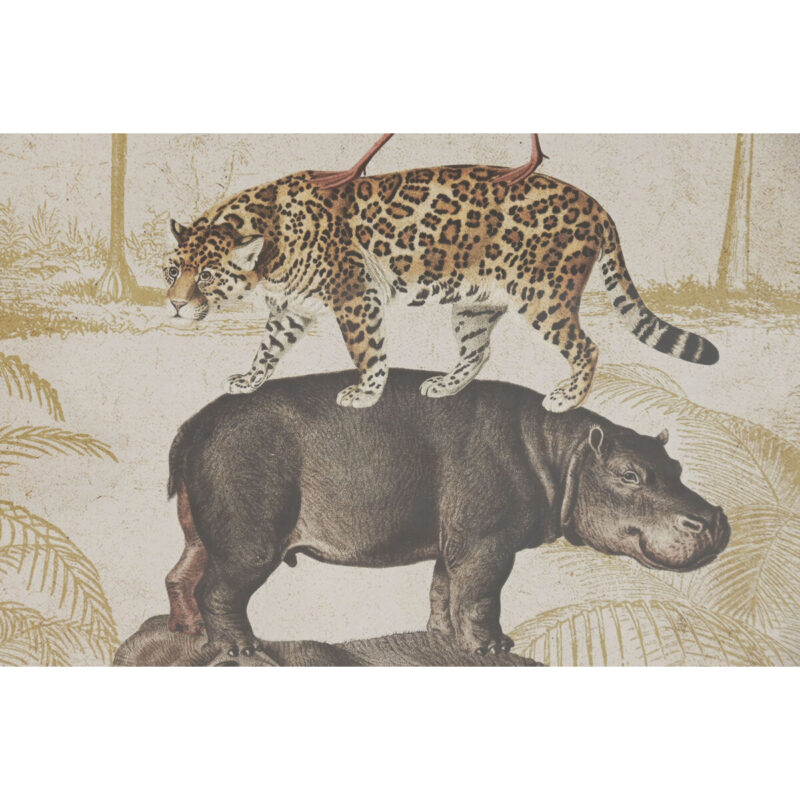 S3062603_2 S3062603_2