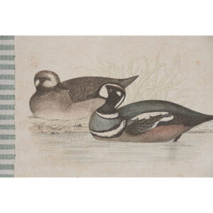 S3062604_2 S3062604_2