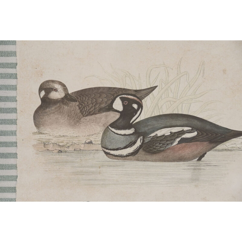 S3062604_2 S3062604_2