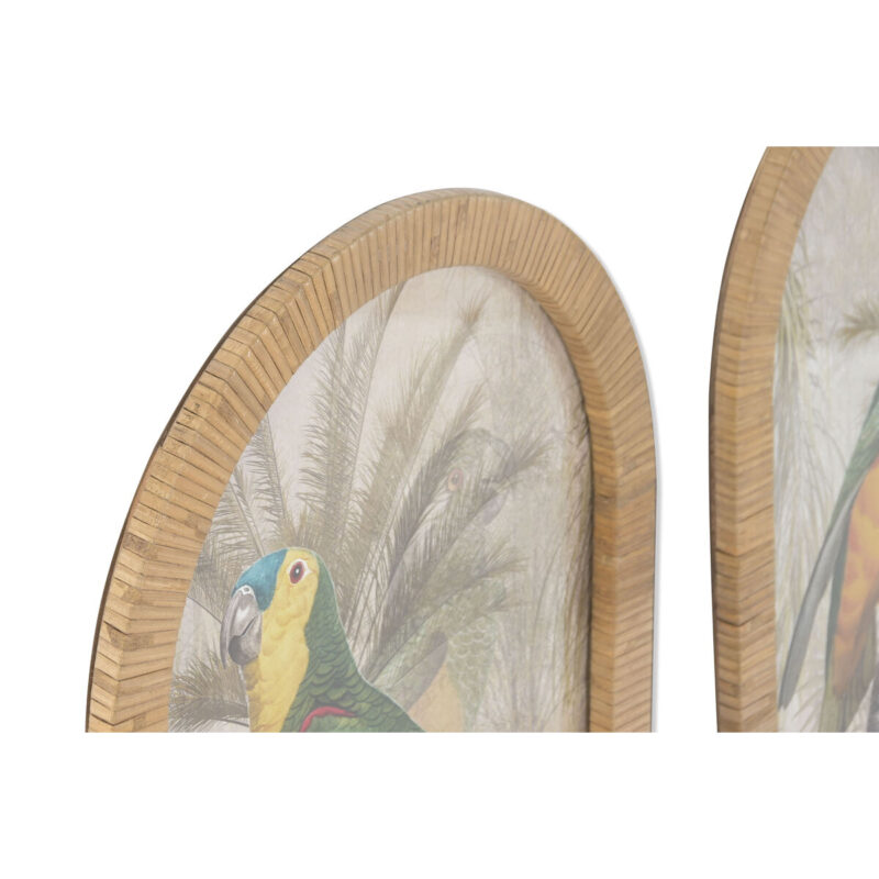 S3062605_1 S3062605_1