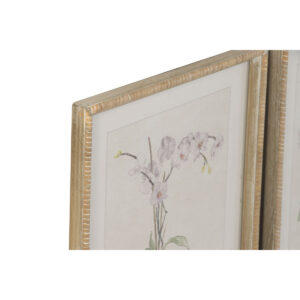 S3062607_1 S3062607_1