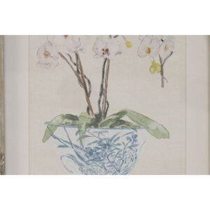 S3062607_2 S3062607_2