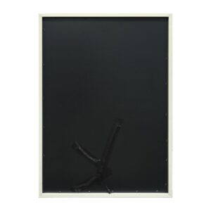 S3061984_5 S3061984_5