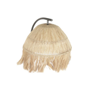 S3062817_3 S3062817_3