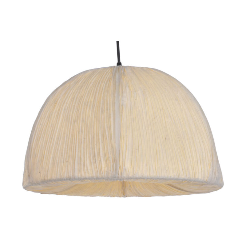 S3063303_1 S3063303_1