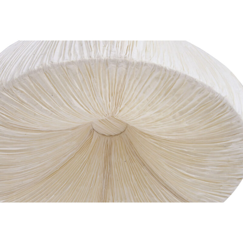 S3063303_2 S3063303_2