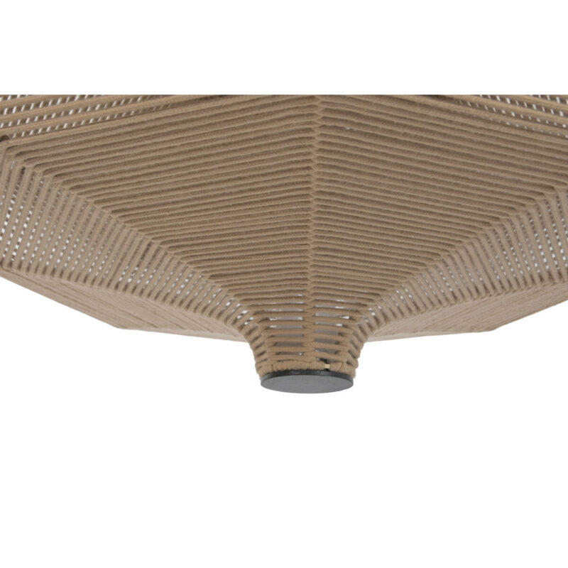 S3063313_8 S3063313_8