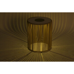 S3063454_1 S3063454_1