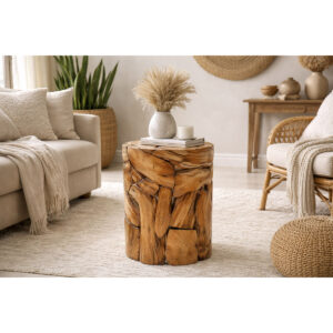 S3063532_1 S3063532_1