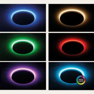 S1906088_17 S1906088_17