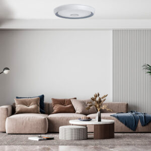 S1906506_6 S1906506_6