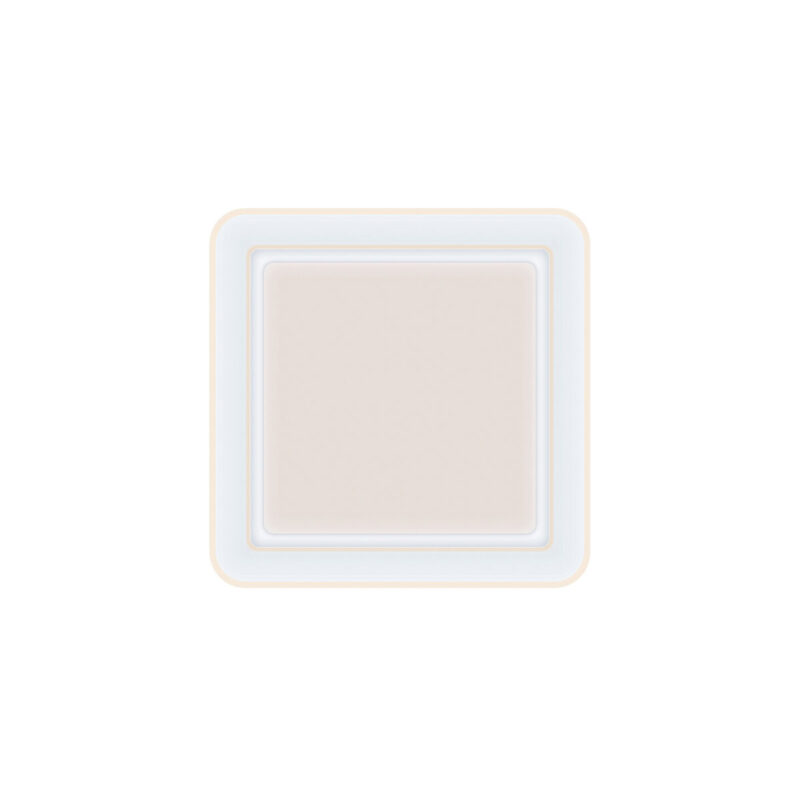 S1906896_5 S1906896_5