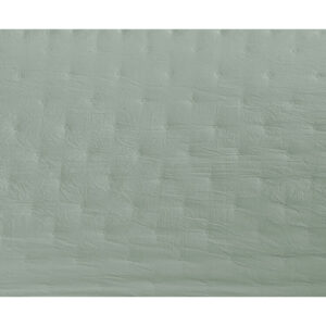 D2101114_2 D2101114_2