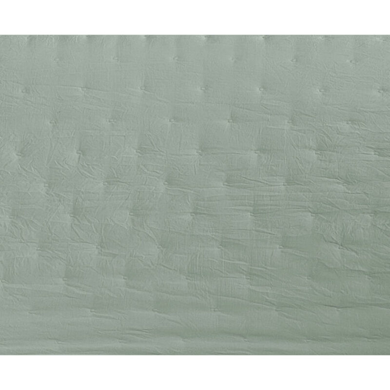 D2101114_2 D2101114_2