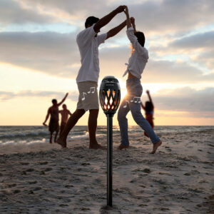 V0103696_5 V0103696_5