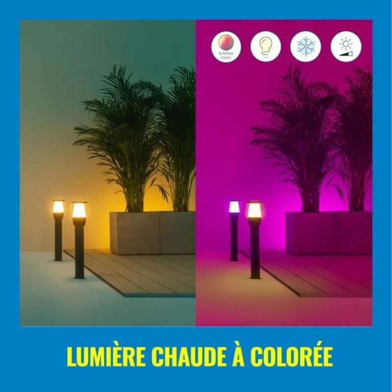 S7198440_2 S7198440_2