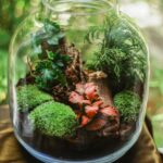 Jardín y terraza con muebles de exterior