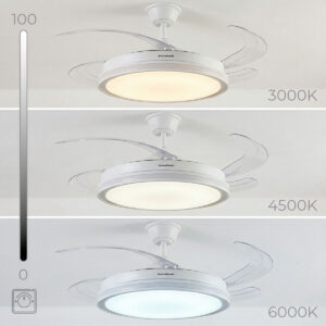 V0104050_2 V0104050_2