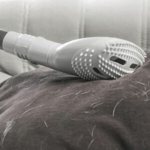 V0703484_2 V0703484_2